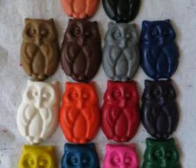 Large Owl Crayon Set of 14