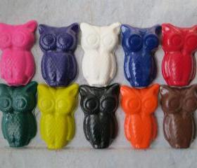 Large Owls Crayon Set of 14