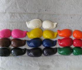 Happy Whale Fish Crayon Set of 56